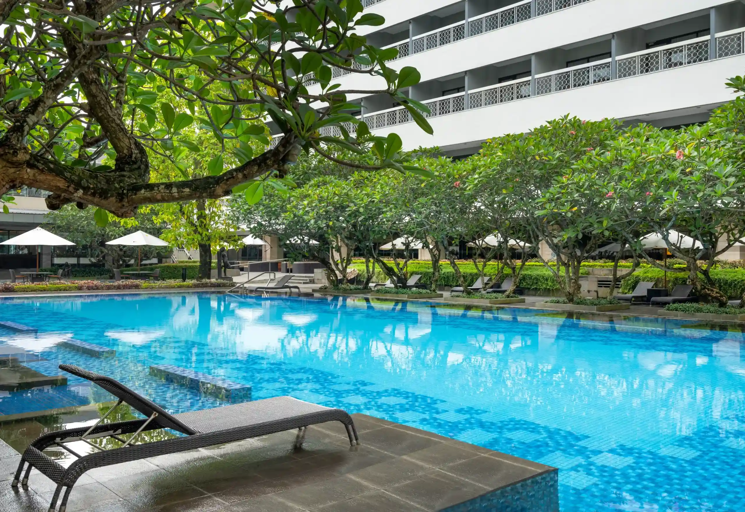 hotel dengan kolam renang