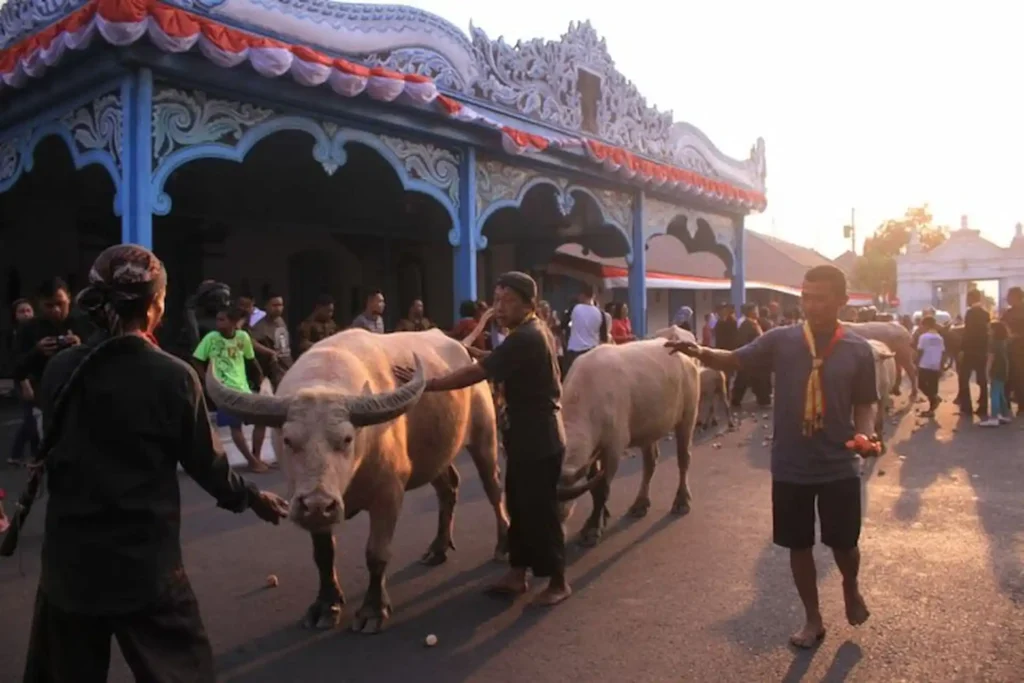 Sejarah Kebo Bule dan Kyai Slamet