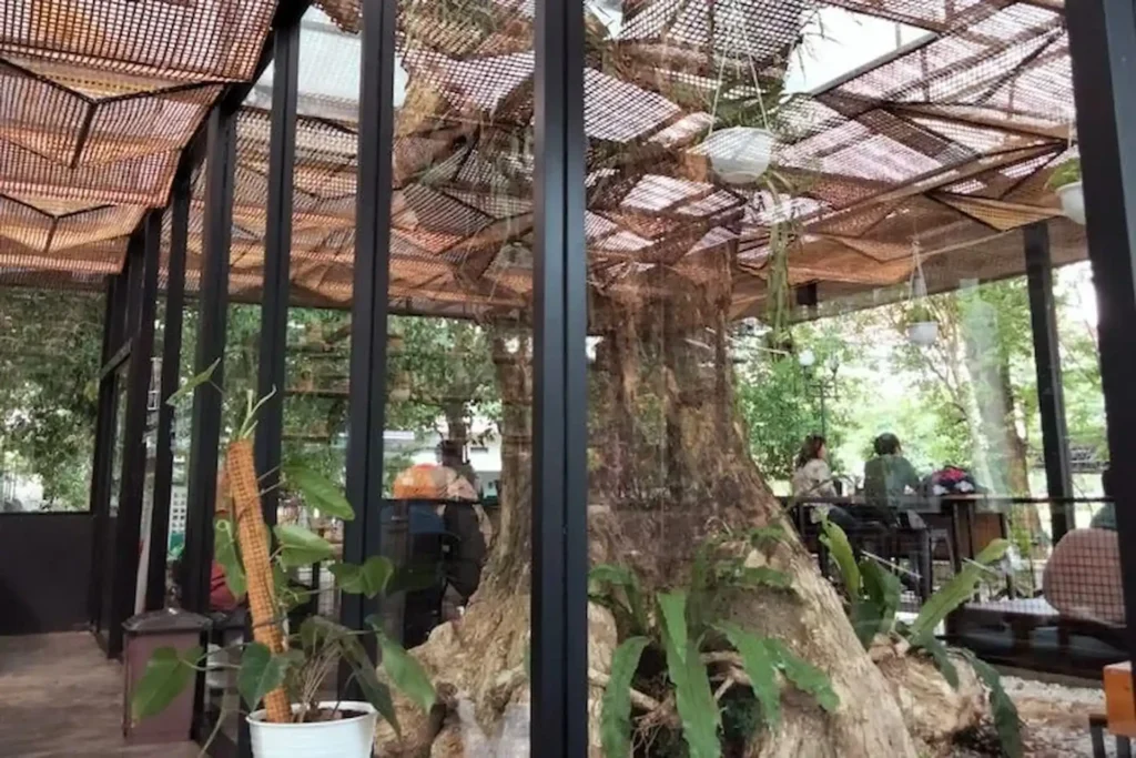 Orang-orang Menikmati Suasana Zoomia Coffee