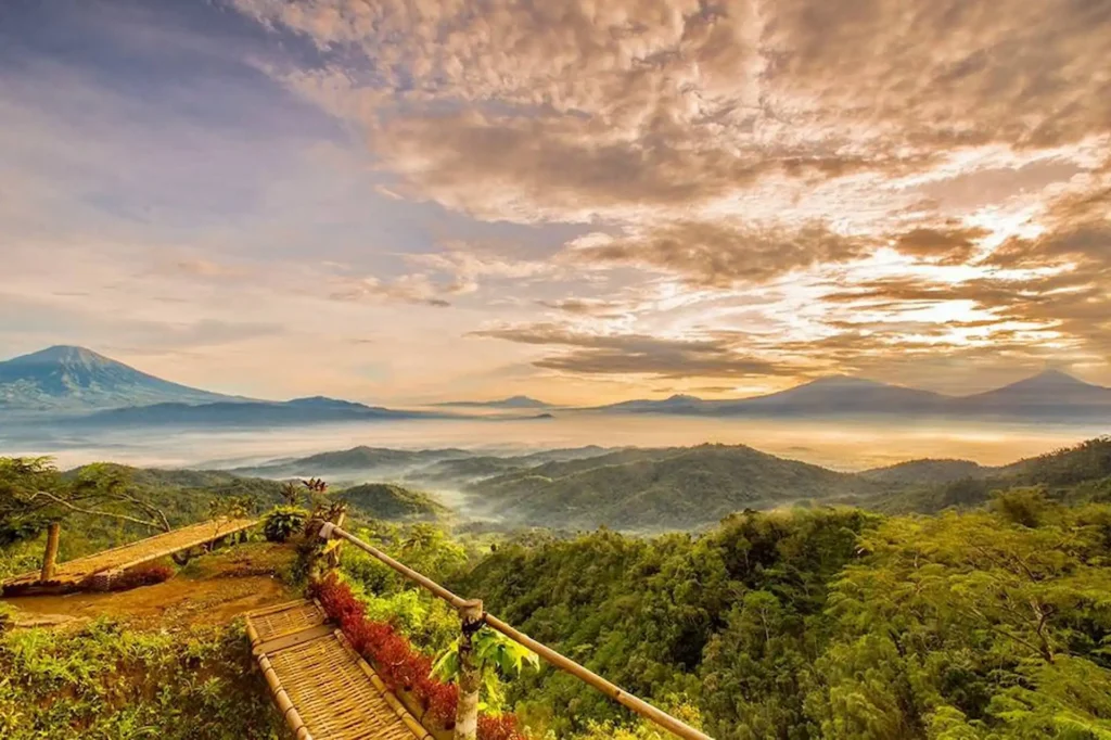 Suasana Sore Hari di Kebun Teh Nglinggo
