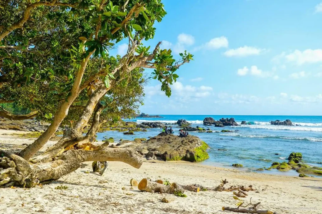 Pemandangan Pantai Wediombo dari Pesisir