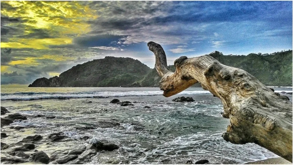Pantai Wediombo