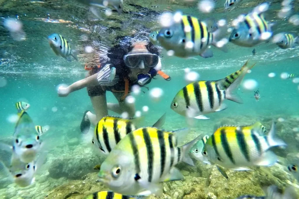 Snorkeling di Pantai Sadranan